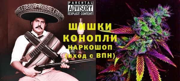 ПСИЛОЦИБИНОВЫЕ ГРИБЫ Баксан