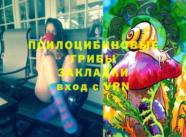 ПСИЛОЦИБИНОВЫЕ ГРИБЫ Баксан